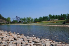 活动 2011.4.28 宏泉通讯编辑部游辰山植物园