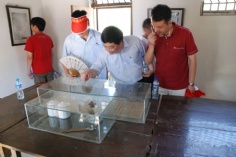 活动 2011.7.9 宏泉集团全体党员纪念建党90周年红色之旅活动