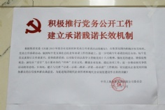 活动 2013.3.28 党员承诺书