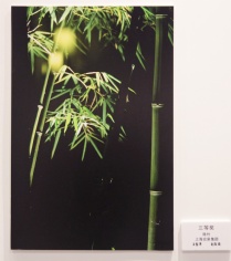 2014.11.20 普陀区“民营企业家与中国梦”主题摄影展