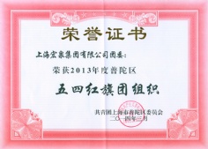 2014.3 宏泉集团 团委 普陀区五四红旗团组织
