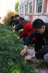 活动 2014.4.10 第一党支部新长征福利院除草