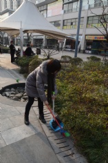 活动 2015.2.13 第一支部洁净城市、美化家园活动