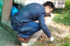 活动 2015.4.17 第一党支部敬老院拔草护绿志愿活动