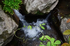 活动 2015.4.24 吴越古道拓展活动