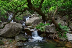 活动 2015.4.24 吴越古道拓展活动