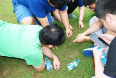 活动 2015.6.18 集团员工阳澄湖培训