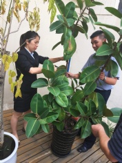 活动 2015.7.13 第四党支部“整理办公环境”活动