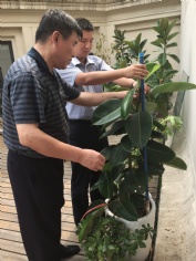 活动 2015.7.13 第四党支部“整理办公环境”活动