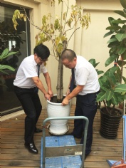 活动 2015.7.13 第四党支部“整理办公环境”活动