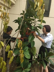 活动 2015.7.13 第四党支部“整理办公环境”活动