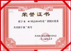 2015.5 陈琳 普陀区优秀共青团干部