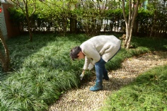 活动 2016.4.8 第一党支部拔草护绿活动