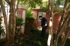 活动 2016.4.8 第一党支部拔草护绿活动