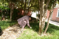 活动 2016.4.8 第一党支部拔草护绿活动