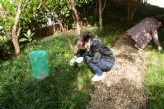 活动 2016.4.8 第一党支部拔草护绿活动