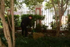 活动 2016.4.8 第一党支部拔草护绿活动