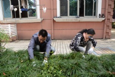 活动 2016.4.8 第一党支部拔草护绿活动