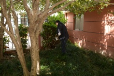 活动 2016.4.8 第一党支部拔草护绿活动