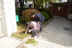 活动 2016.4.8 第一党支部拔草护绿活动