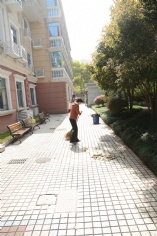 活动 2016.4.8 第一党支部拔草护绿活动