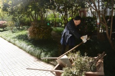 活动 2016.4.8 第一党支部拔草护绿活动