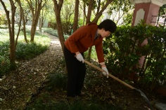 活动 2016.4.8 第一党支部拔草护绿活动