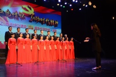 活动 2016.4.27 长征镇庆祝五一、五四主题活动 长征镇职工、青年庆祝建党95周年红歌比赛