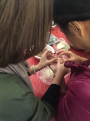 活动 2017.11.5 综合管理部阳澄湖团建之旅