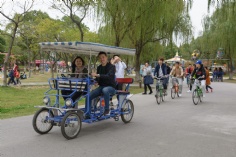 活动 2017.11.5 综合管理部阳澄湖团建之旅