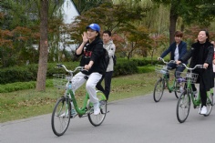 活动 2017.11.5 综合管理部阳澄湖团建之旅