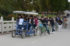 活动 2017.11.5 综合管理部阳澄湖团建之旅