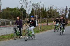 活动 2017.11.5 综合管理部阳澄湖团建之旅