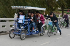 活动 2017.11.5 综合管理部阳澄湖团建之旅