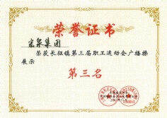 2017.11.4 宏泉集团 第三届职工运动会广播操展示第三名