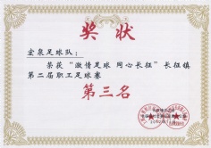 2017.11.4 宏泉集团 第三届职工运动会足球赛第三名
