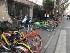 活动 2017.3.7 第四党支部开展学雷锋活动