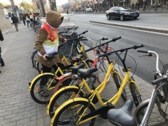 活动 2017.3.7 第四党支部开展学雷锋活动