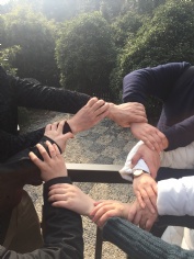 活动 2017.2.24 九龙潭拓展活动