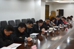 会议 2017.3.31 集团架构调整会议 