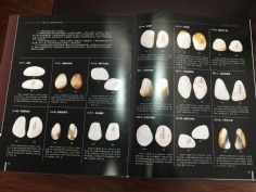 2017.5.10 上海祥和文化艺术馆开馆揭牌仪式准备工作