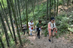 活动 2017.6.2 莫干山拓展活动