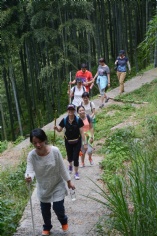 活动 2017.6.2 莫干山拓展活动