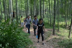 活动 2017.6.2 莫干山拓展活动