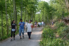 活动 2017.6.2 莫干山拓展活动