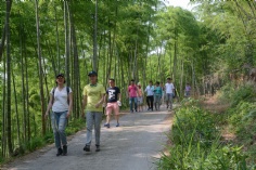 活动 2017.6.2 莫干山拓展活动