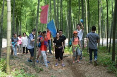 活动 2017.6.2 莫干山拓展活动