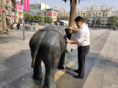 活动 2018.10.24 综合管理党支部梅川路清洁