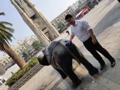 活动 2018.10.24 综合管理党支部梅川路清洁