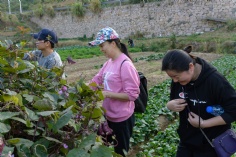 活动 2018.10.28 舟山嵊泗拓展